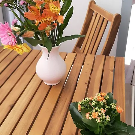 公寓 Town View 布拉迪斯拉发