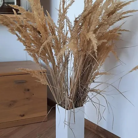 Apartment Town View *